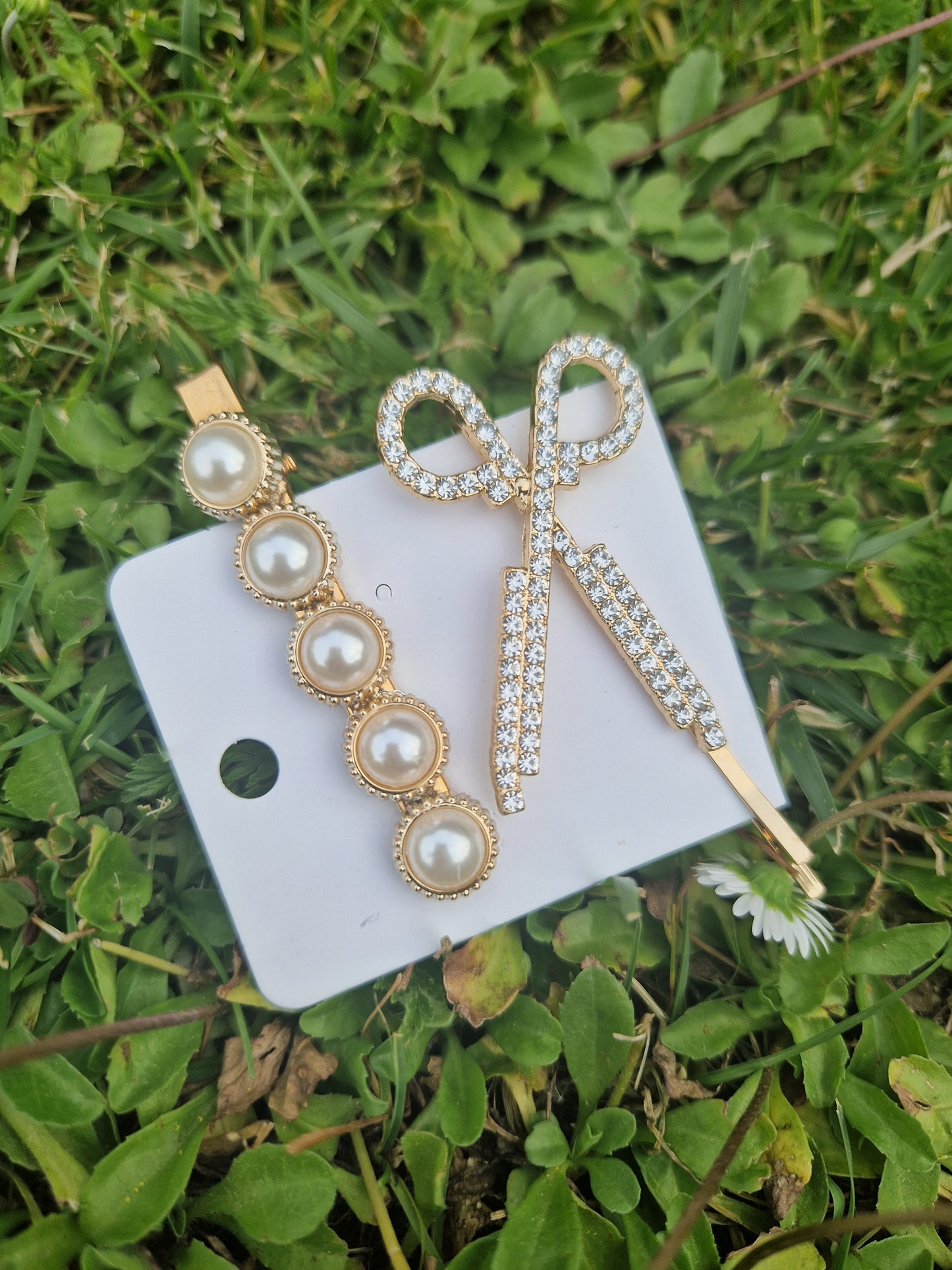 Fashion Hair Clips Set