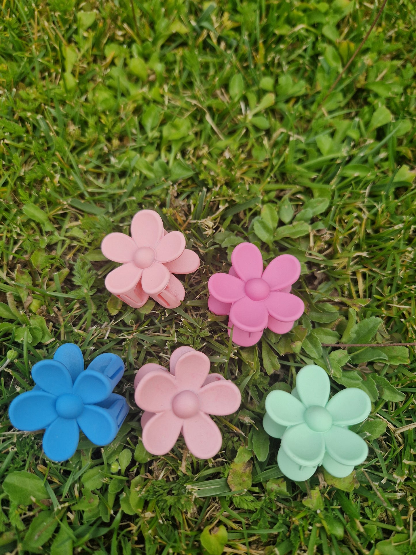 MIni Margherita Hair Claws set of 5